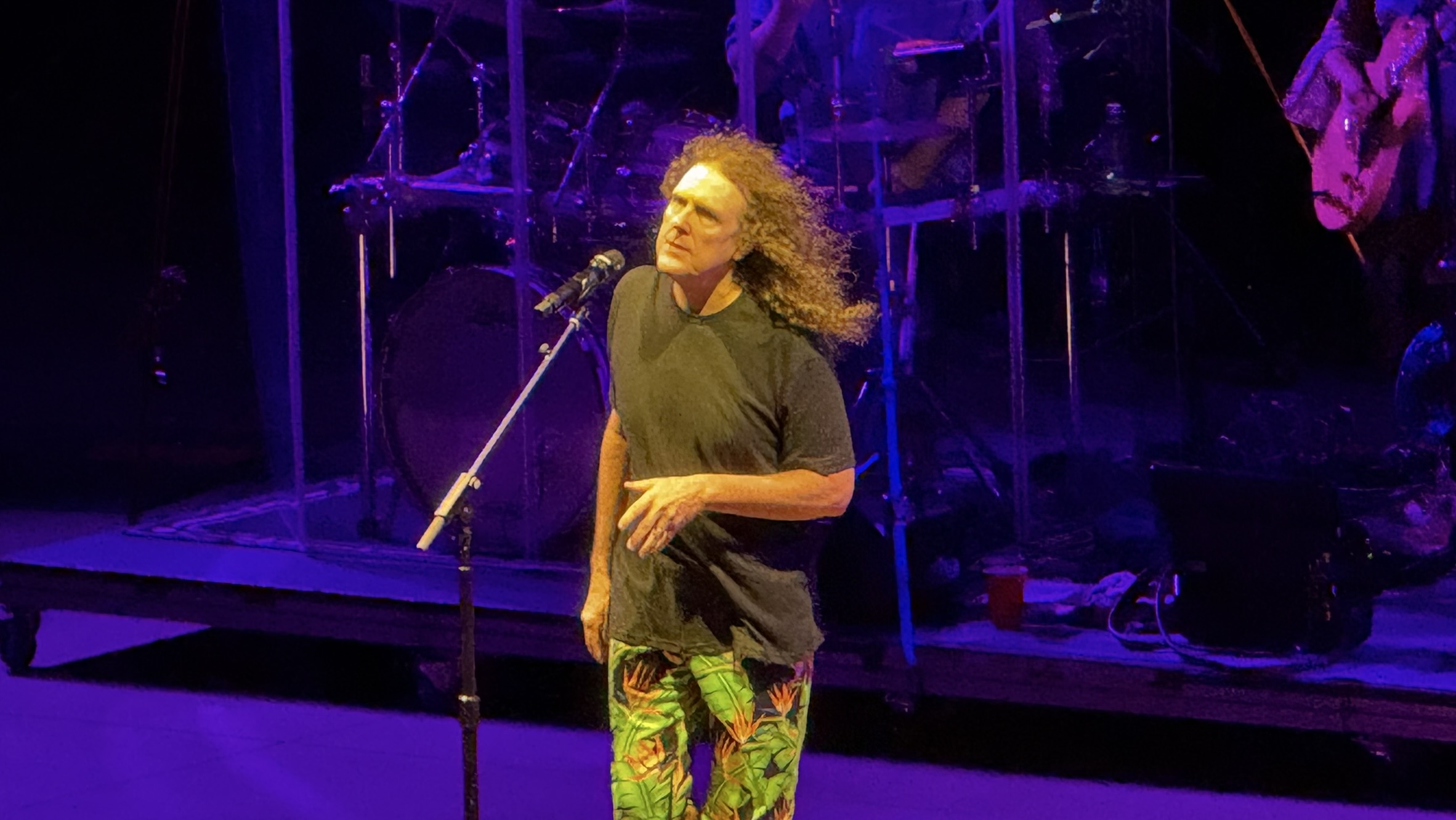 Weird Al Yankovic